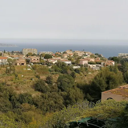 Anoe Nizza